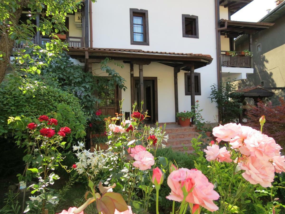 Oazis Guesthouse Loveč Exteriér fotografie