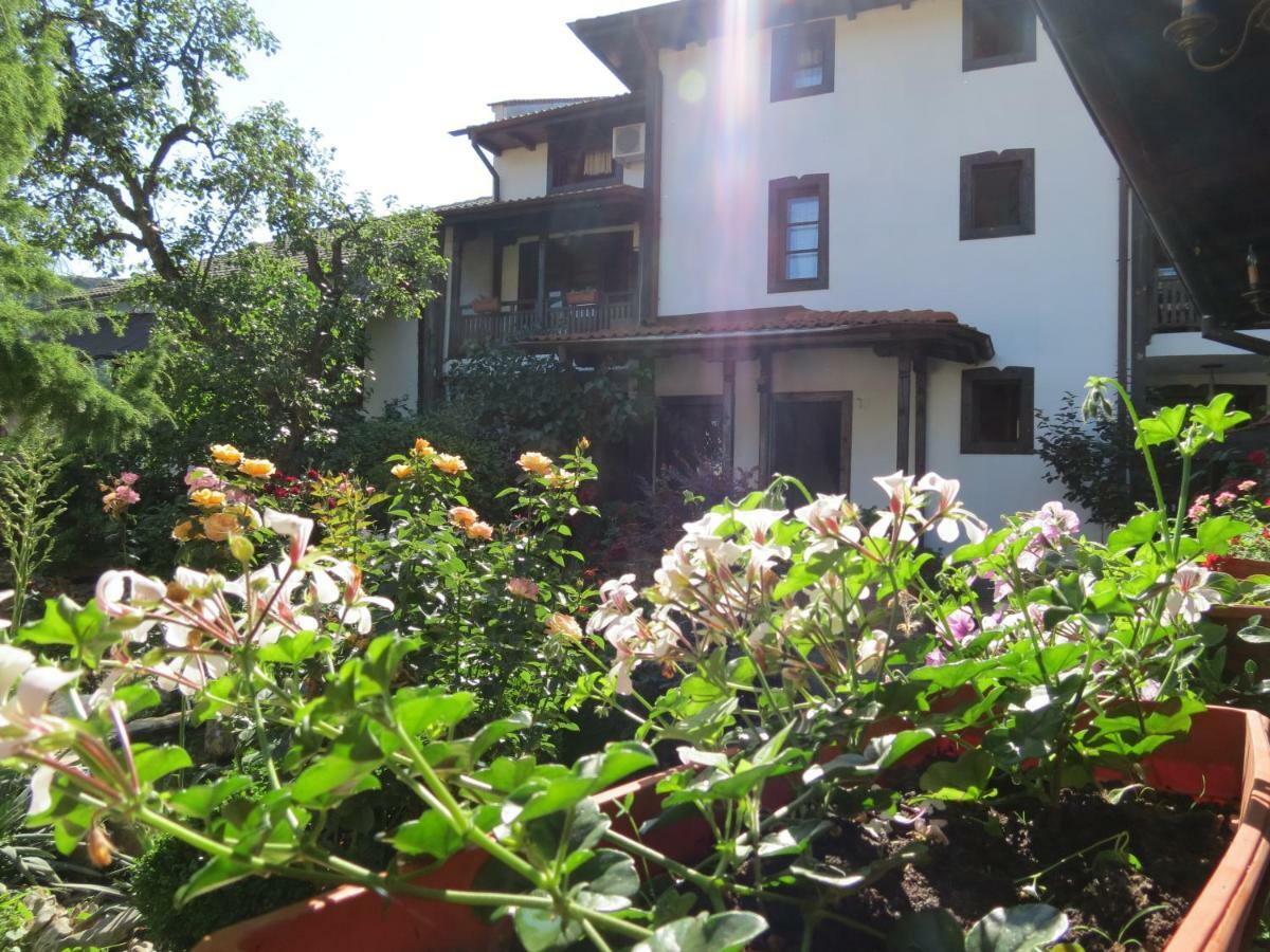 Oazis Guesthouse Loveč Exteriér fotografie